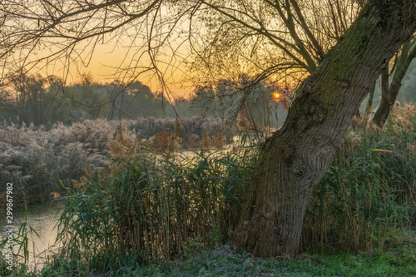 Obraz A park landscape in late autumn at sunrise and frost
