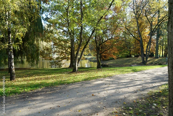 Fototapeta Well laid out path through a park invites you to go for a walk