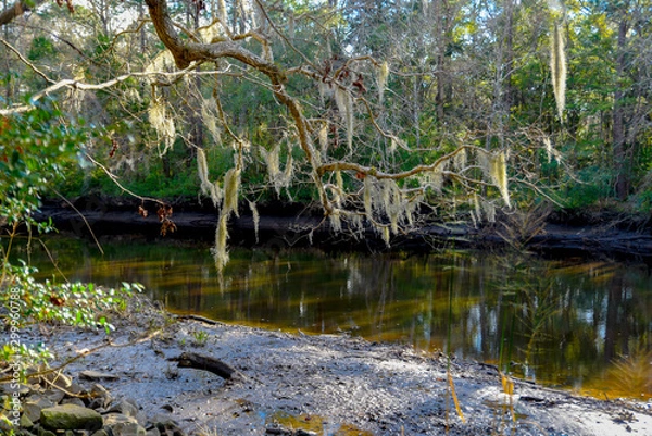 Obraz pond in the park
