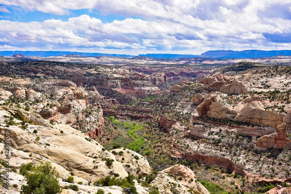 Obraz Desert valley 2