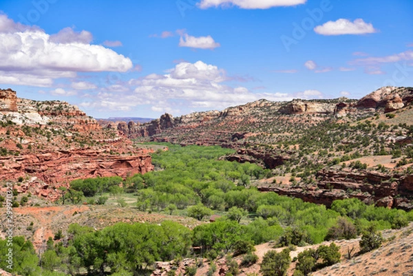 Obraz Beautiful desert valley