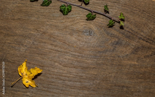 Obraz Maple leaf, oak grain