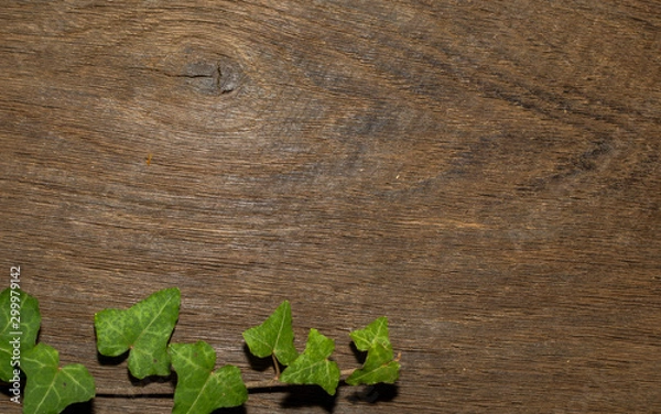 Obraz Maple leaf, oak grain