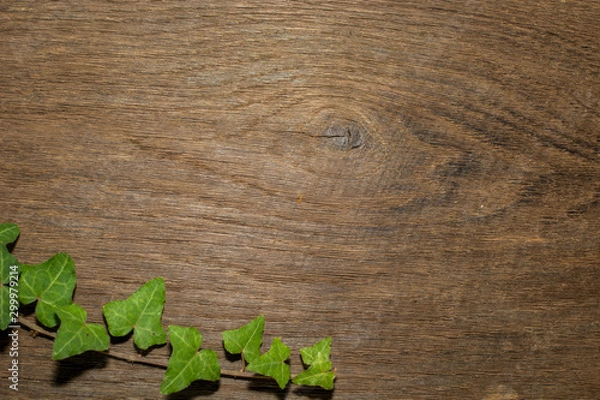 Obraz Maple leaf, oak grain