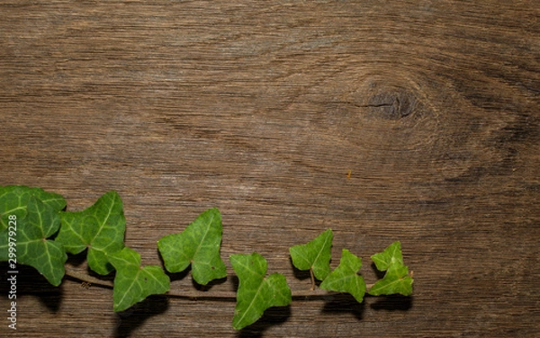 Obraz Maple leaf, oak grain