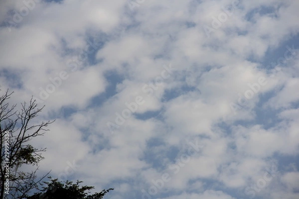 Obraz blue sky and clouds