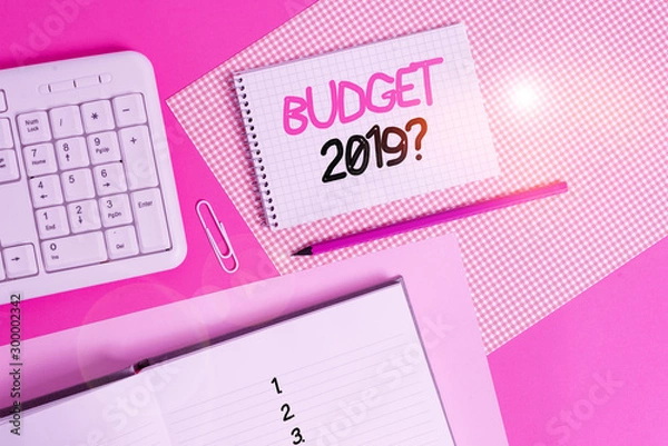 Fototapeta Writing note showing Budget 2019 Question. Business concept for estimate of income and expenditure for next year Writing equipments and computer stuffs placed above colored plain table