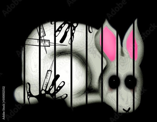 Fototapeta Animal testing rabbit