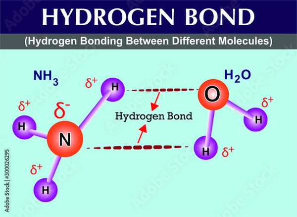Obraz hydrogen bonds between different molecules. hydrogen bonds
