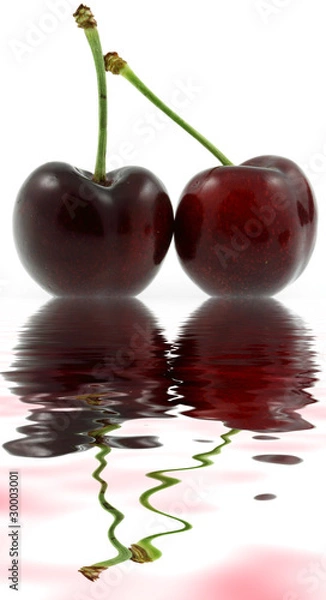 Obraz duo de cerises