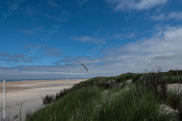 Obraz borkum strand