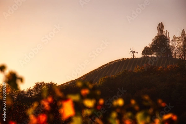 Obraz Klapotetz upon a wineyard hill