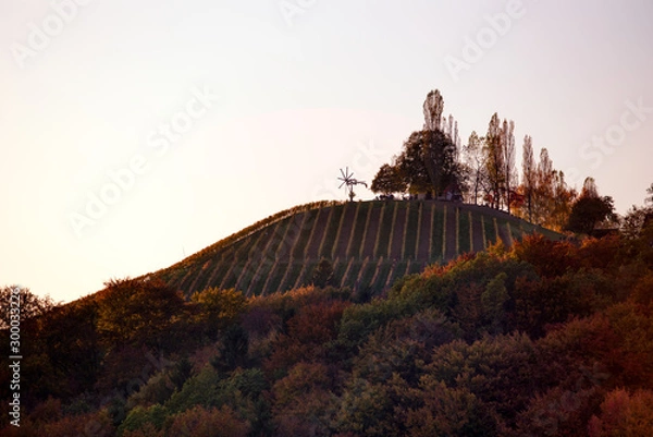 Obraz Klapotetz upon a wineyard hill