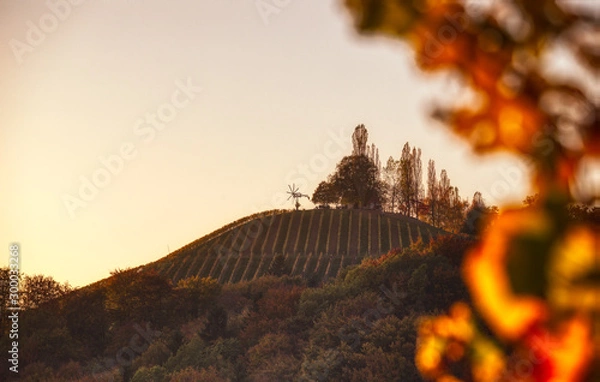Obraz Klapotetz upon a wineyard hill