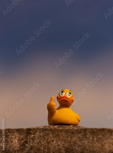 Fototapeta a yellow duck atirically shwoing the middle finger gesture 