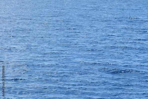 Fototapeta 日本国沖縄の夏の海