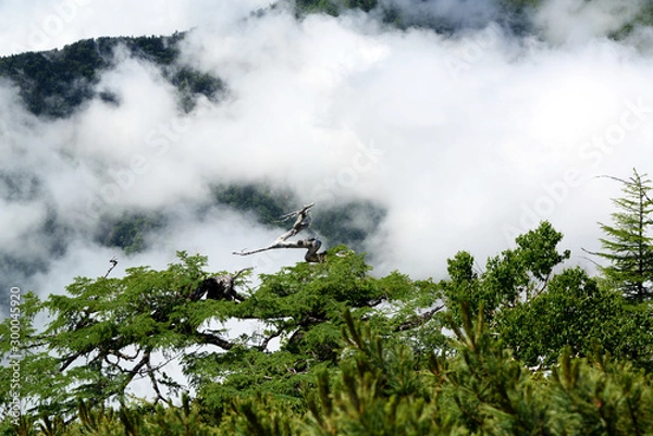 Obraz 北アルプス