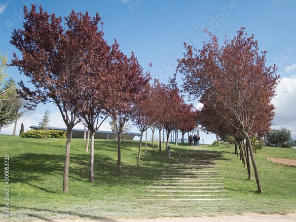 Obraz European Monuments Park