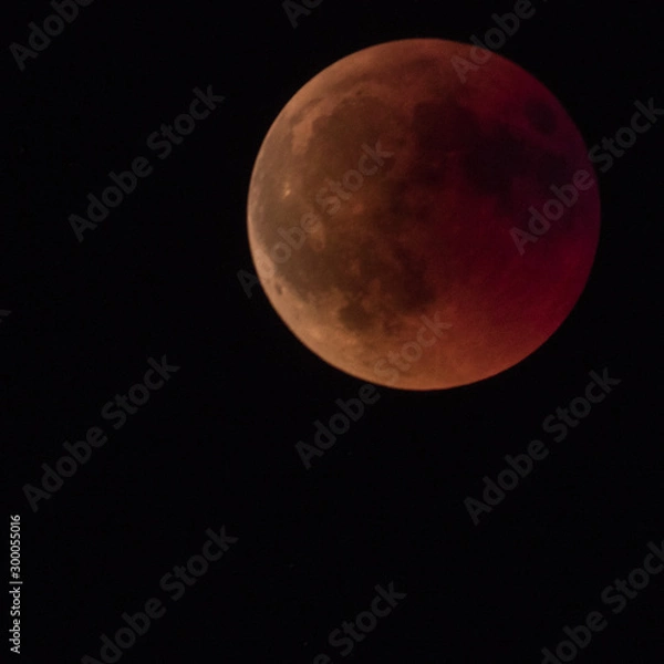 Obraz Full moon and red blood eclipse phases 