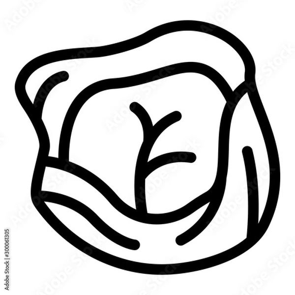 Obraz Cabbage icon. Outline cabbage vector icon for web design isolated on white background