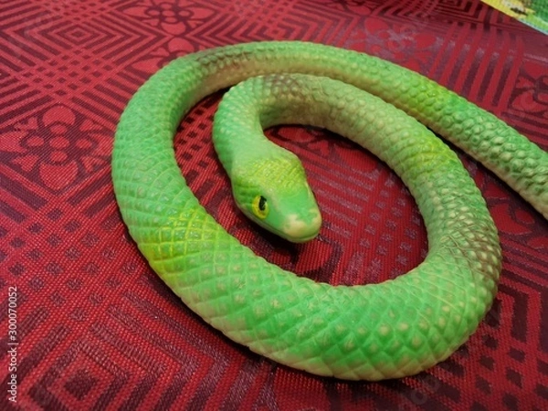 Obraz snake on green background