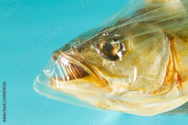 Fototapeta Fish inside plastic bag