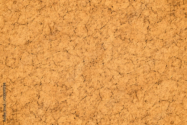 Fototapeta Cork background with interesting texture. Random elements pattern in high resolution. Old paper backdrop for different projects.