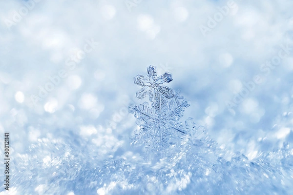 Fototapeta Snowflakes close-up. Macro photo. The concept of winter, cold, beauty of nature. Copy space.