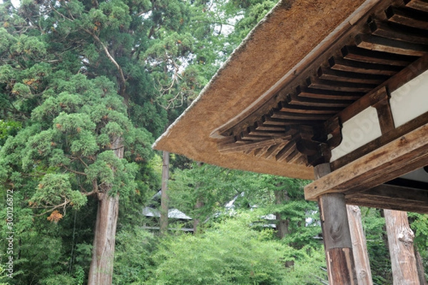 Fototapeta 茅葺屋根