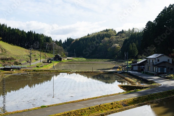 Obraz 新潟の田園風景