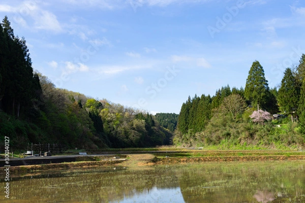 Obraz 新潟の田園風景