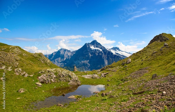 Obraz Hiking in swiss alps