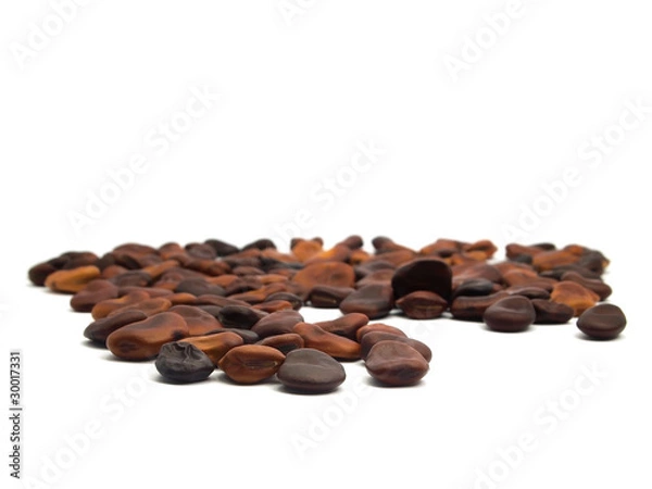 Fototapeta fava beans