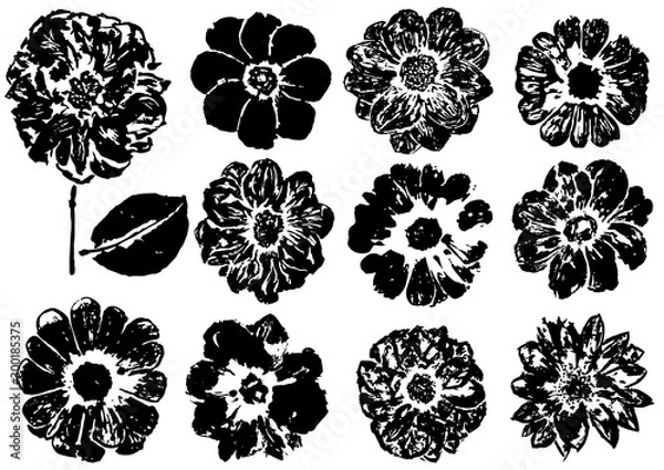 Obraz set of ink prints of dahlia flowers