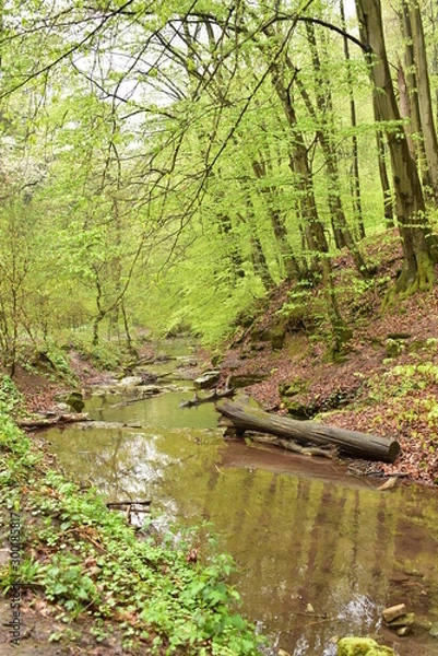 Fototapeta Forest path beside a stream in Hungary, Mecsek, Obanya