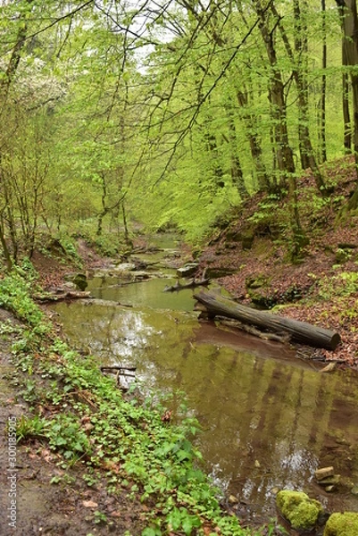 Obraz Forest path beside a stream in Hungary, Mecsek, Obanya