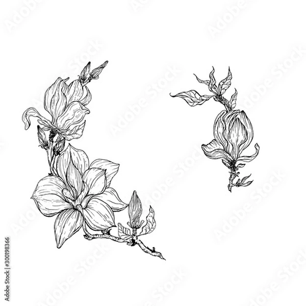 Obraz Bright black and white floral frame