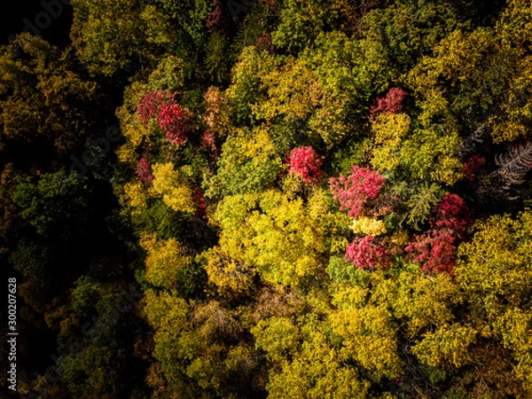 Fototapeta abstract colorful background