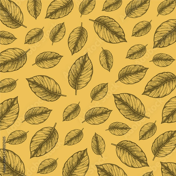 Fototapeta Pattern illustration in hand drawn style with leaves. Autumn design. For design textiles, fabric, packaging, paper, surface decoration, background.