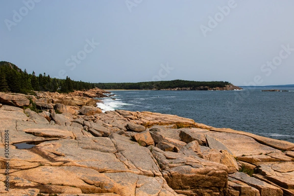 Obraz Acadia National Park