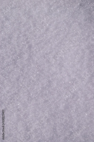 Obraz Snow Texture