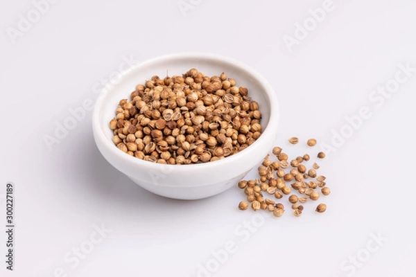 Fototapeta Coriander seeds in white ceramic bowl isolated on white background, soft light, studio shot, copy space