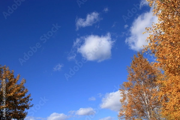 Fototapeta 晩秋の札幌の公園の風景