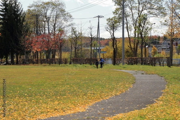 Fototapeta 晩秋の札幌の公園の風景