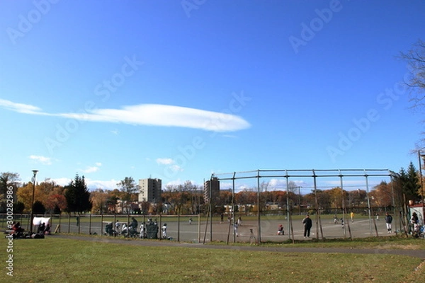Fototapeta 晩秋の札幌の公園の風景