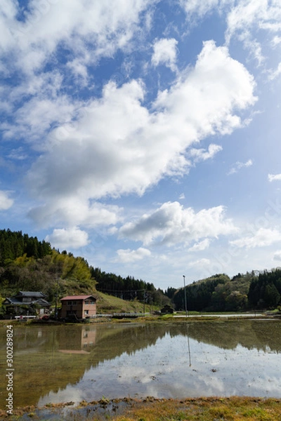 Obraz 新潟の田園風景