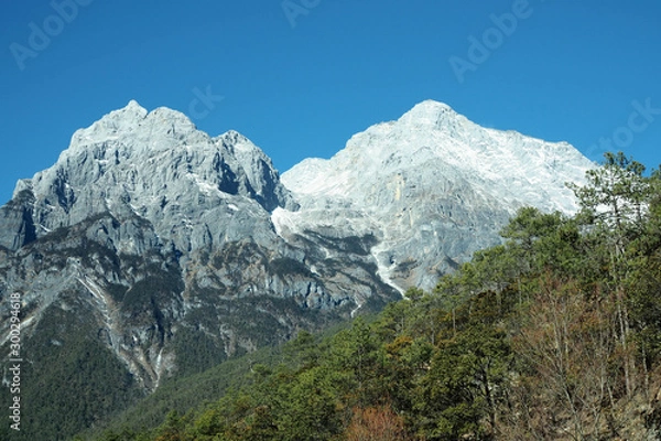 Fototapeta OLYMPUS DIGITAL CAMERA