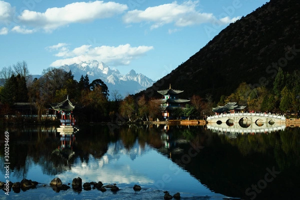 Fototapeta OLYMPUS DIGITAL CAMERA