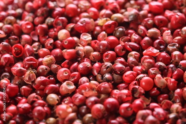 Obraz close up on pink pepper berries