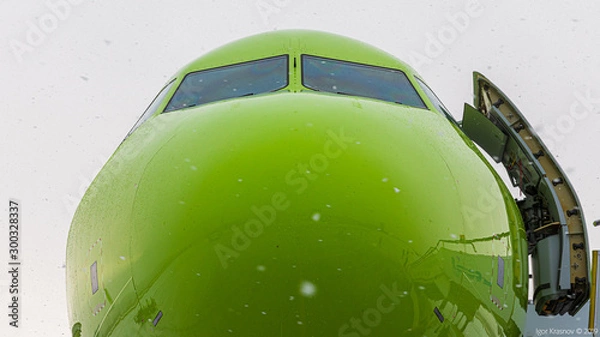 Obraz plane in the sky